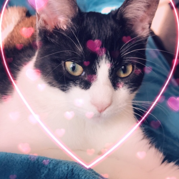 Meet your Posher, Tammy - Picture 1 of 1